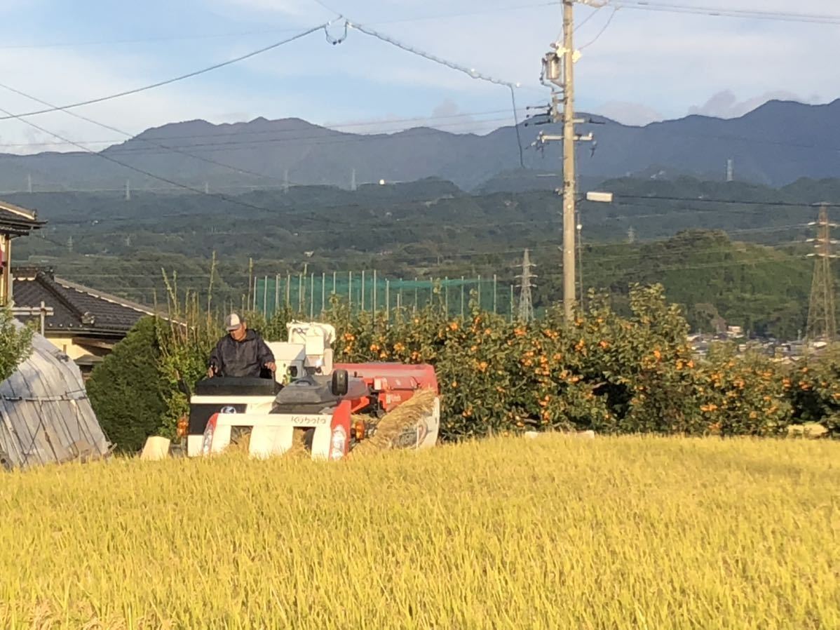 生産者から直送～★新米令和5年長野県産 コシヒカリ 精白米10ｋｇ ドジョウ、ホウネンエビ、サワガニのいる田んぼ～一等米_画像4