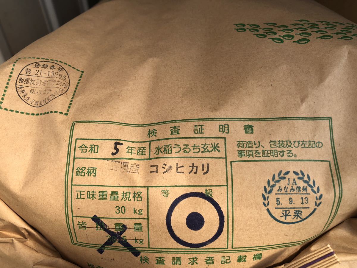  production person from direct delivery ~* new rice . peace 5 year Nagano prefecture production Koshihikari milled rice 10kgdojou, howe nen shrimp,sawagani. .. rice field ..~ one etc. rice 