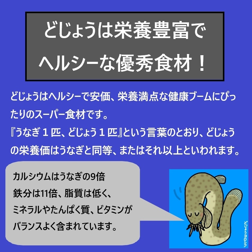 ◇【活どじょう】小500g(約10cm・平均125匹)泥鰌・食用・活き餌・釣り餌・生餌・熱帯魚・古代魚のエサにはドジョウ☆えさ・川魚・淡水魚_画像5