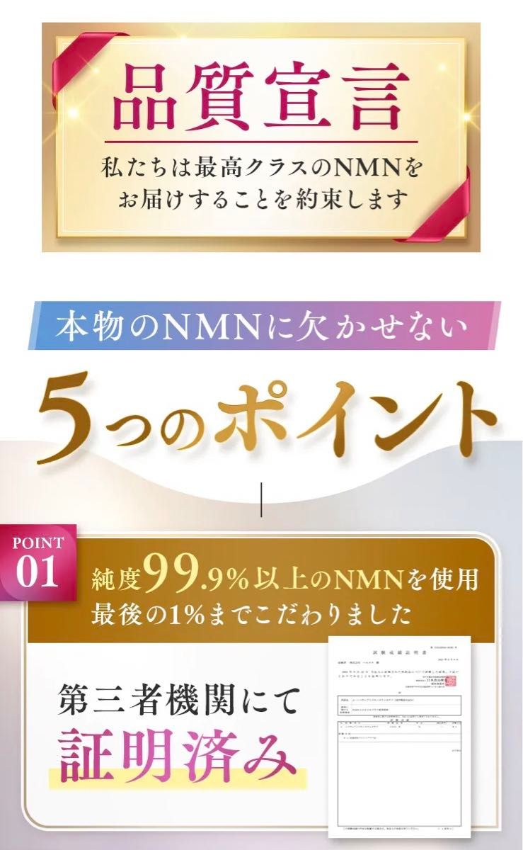 ★けいこ様専用☆ 公式正規品★ nonlie ノンリ NMN 10230 62粒入り 1袋