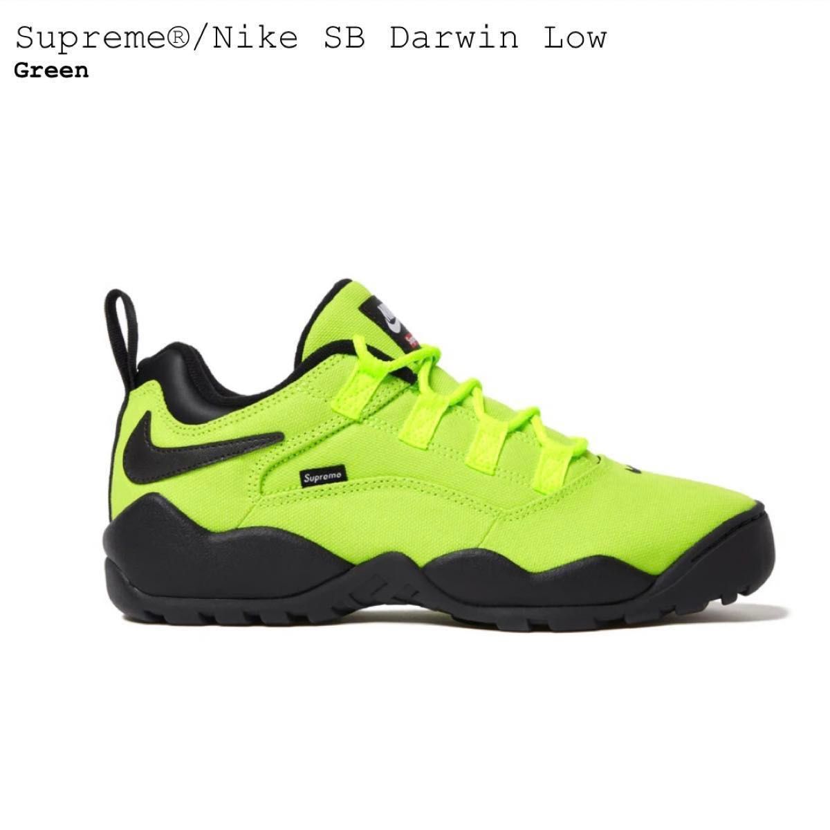 Supreme × Nike SB Darwin Low Green 24.5 スニーカー ダーウィン US6.5