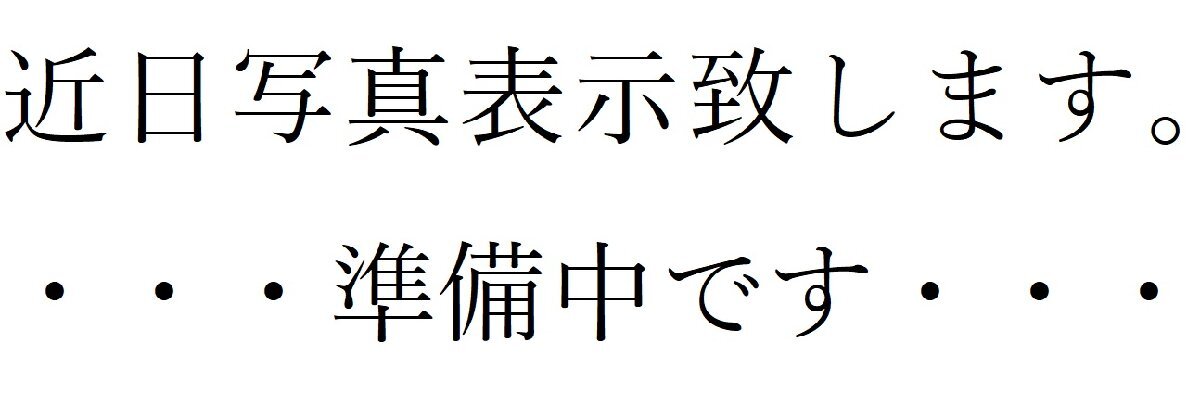 c1【郡山定#3%050831-15】チェーンソーガイドバー　適用機種ESK-3740　京セラ　リョービ　_画像1