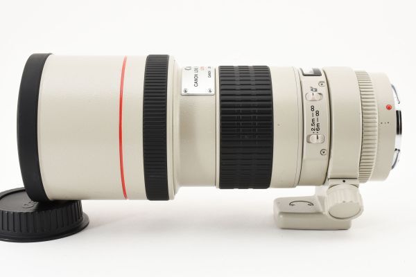 **Canon Canon EF 300mm F4L USM #6181**