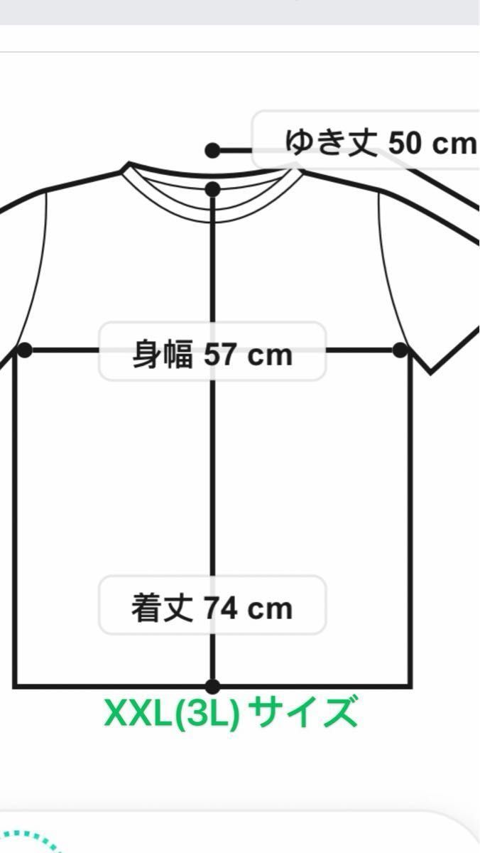 半袖　Tシャツ　ベア柄　ビバリーヒルズポロクラブ　日本未発売　新商品　100%コットン