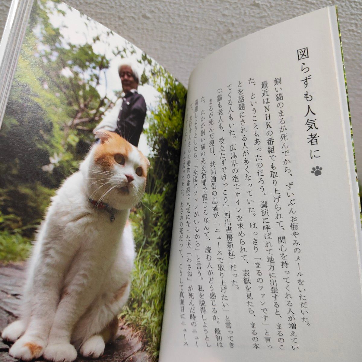 『 まる ありがとう 』◇ 養老孟司 / 猫 ネコ × 養老さん / 思い出 回想 エッセイ