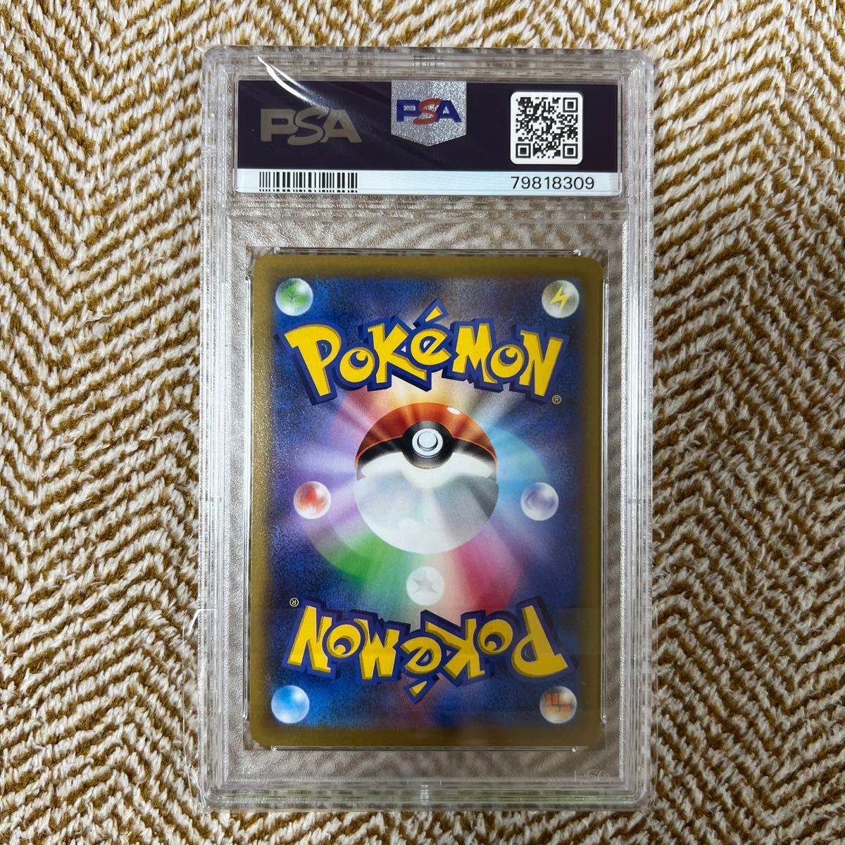 ポケモンカード　ガブリアスv csr psa10