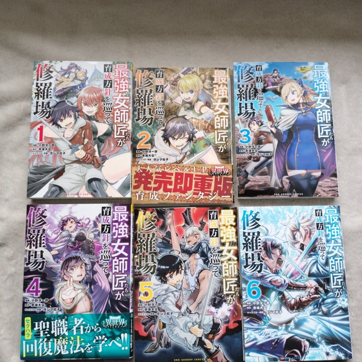 【winter3様専用】他の方は購入できません。　2個口発送②　最強女師匠たちが育成方針を巡って修羅場　　既刊全6巻セット