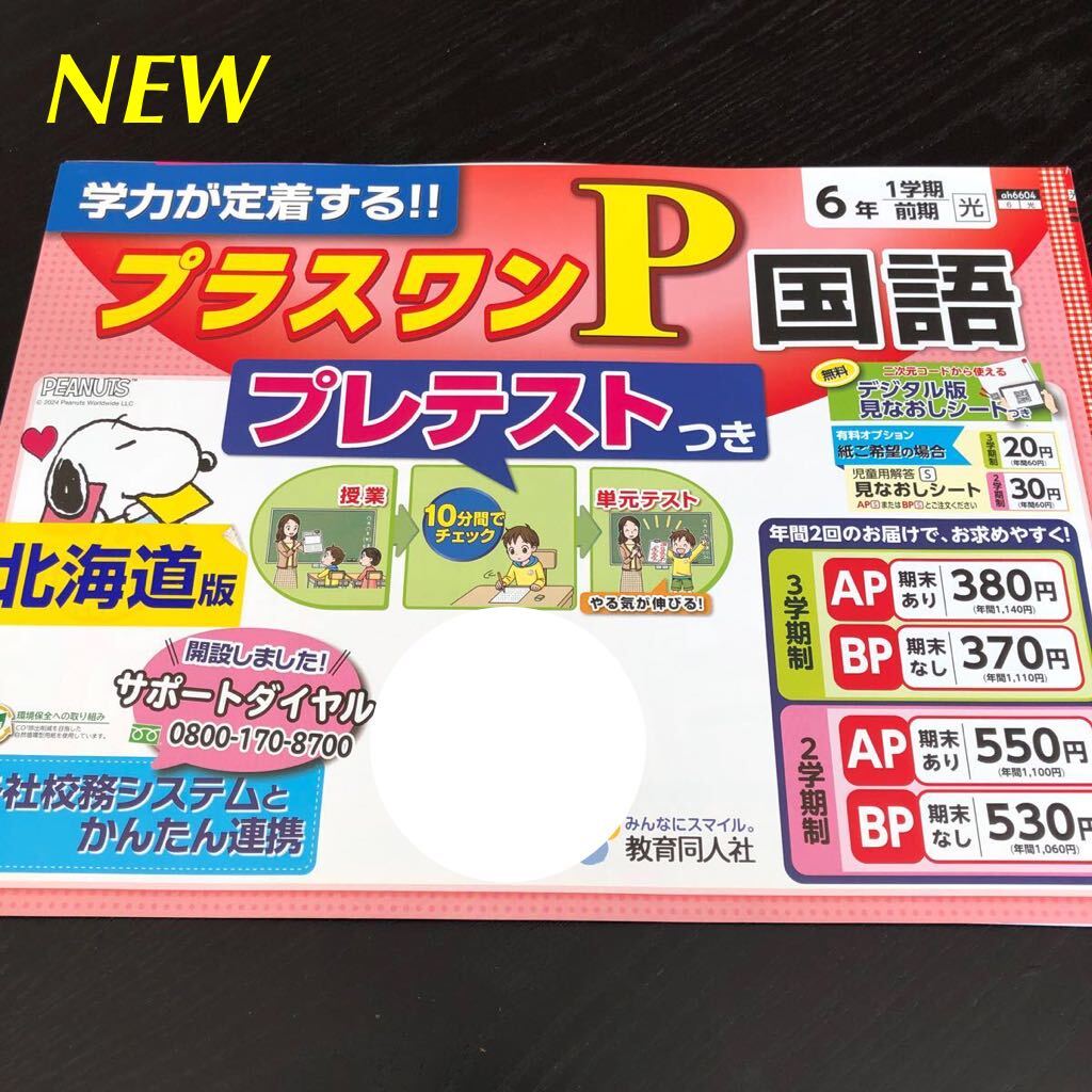 3006 プラスワンP国語 6年 教育同人社 ah6604 小学 ドリル 問題集 テスト用紙 教材 テキスト 家庭学習 漢字 過去問 ワーク 勉強 非売品_画像1