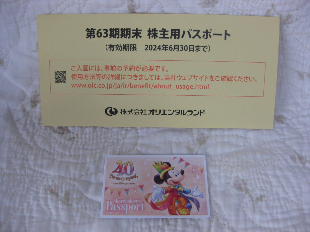 【送料無料】東京ディズニーランド ディズニーシー 株主用パスポート １枚 東京ディズニーリゾートの画像1