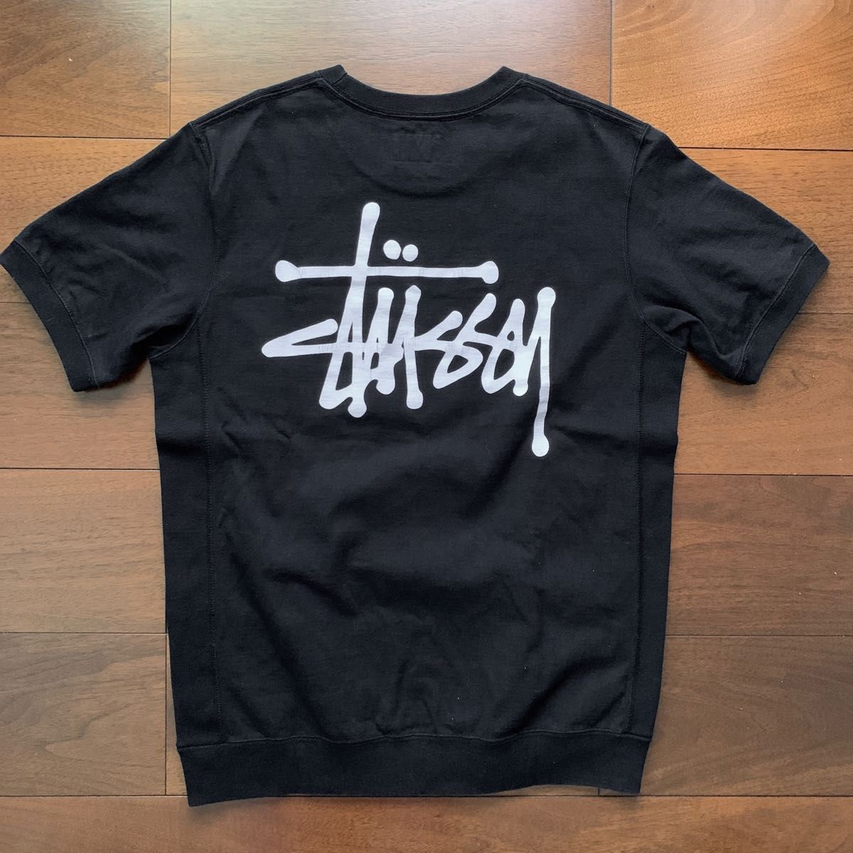 STUSSY ステューシー Tシャツ ビッグロゴ SS ワールドツアー ラスタ