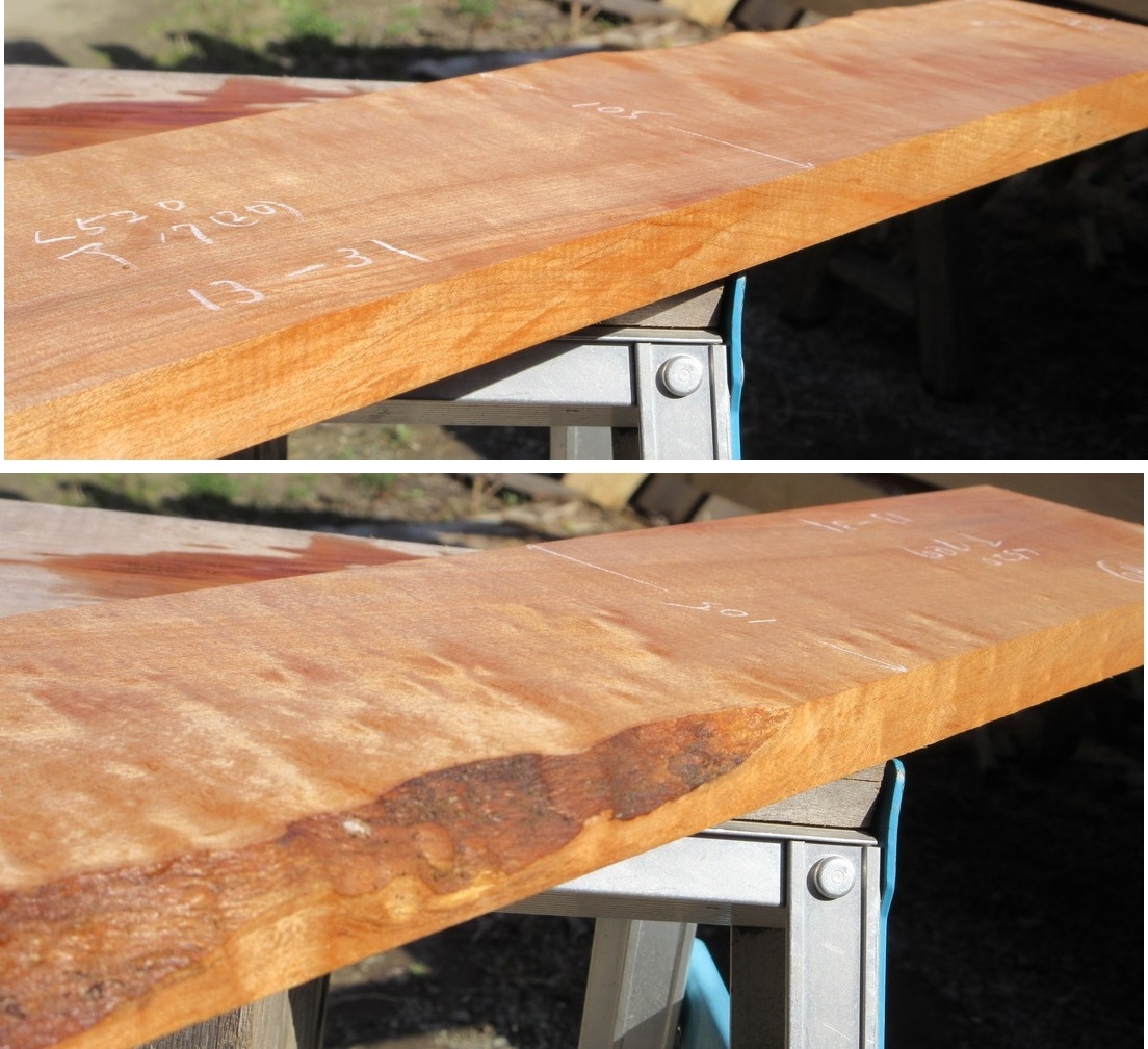 * tree . shop i Taya maple board shop maple . equipped small articles made . thickness 17*13-31