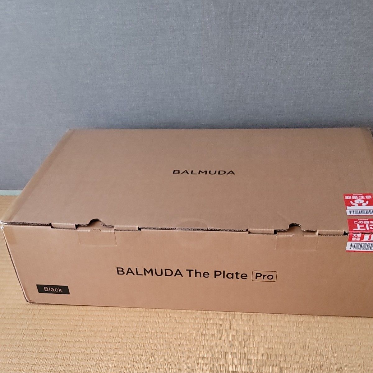 BALMUDA The Plate Pro K10A-BK（ブラック）フルセット新品未使用品