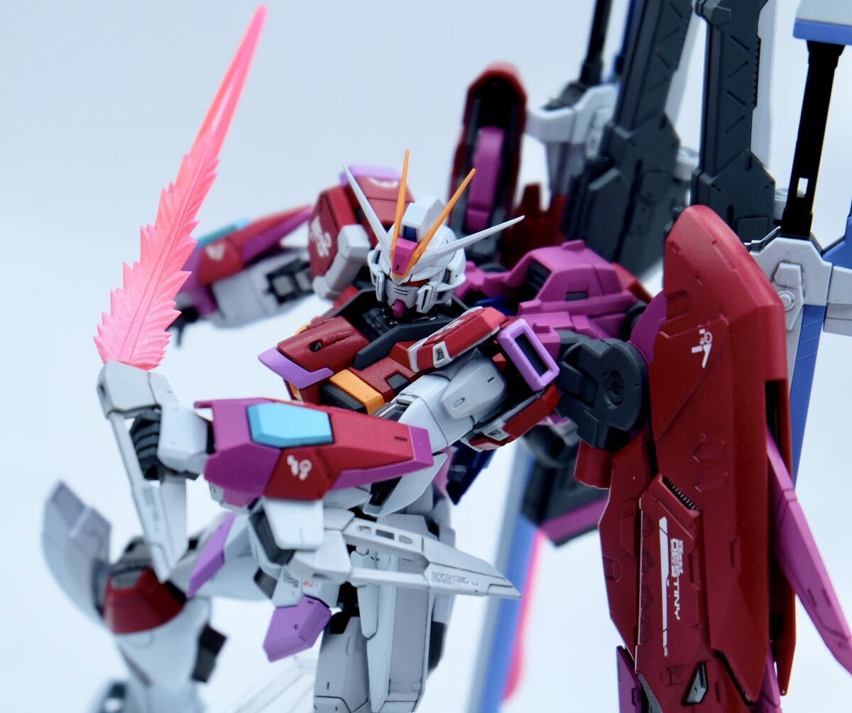 RG 1/144 デスティニーインパルスガンダム　塗装済完成品_画像8