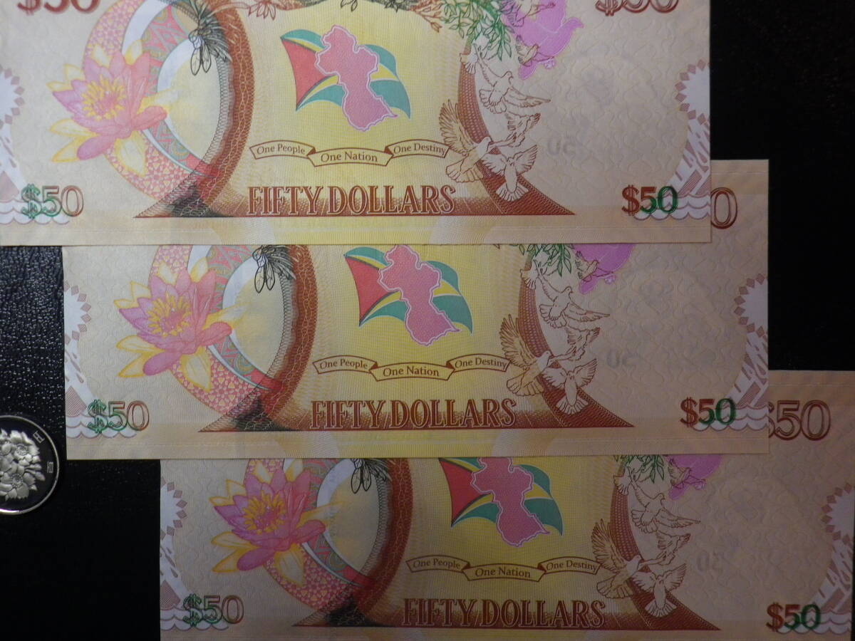 ギアナ 2016年 記念紙幣 50th AA券 50Dollars 未使用 連番で3枚組　_画像4
