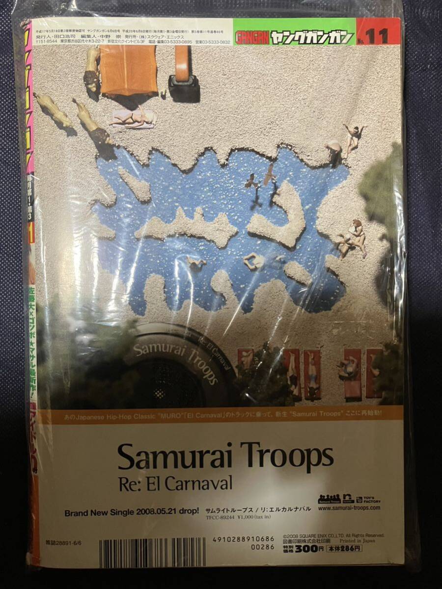 新品 未読品 ヤングガンガン2008年6月6日号 No.11 DVD付 八代みなせ しほの涼 外岡えりか 仲村みう 長崎莉奈 小泉麻耶 秋山奈々 池澤あやか_画像2