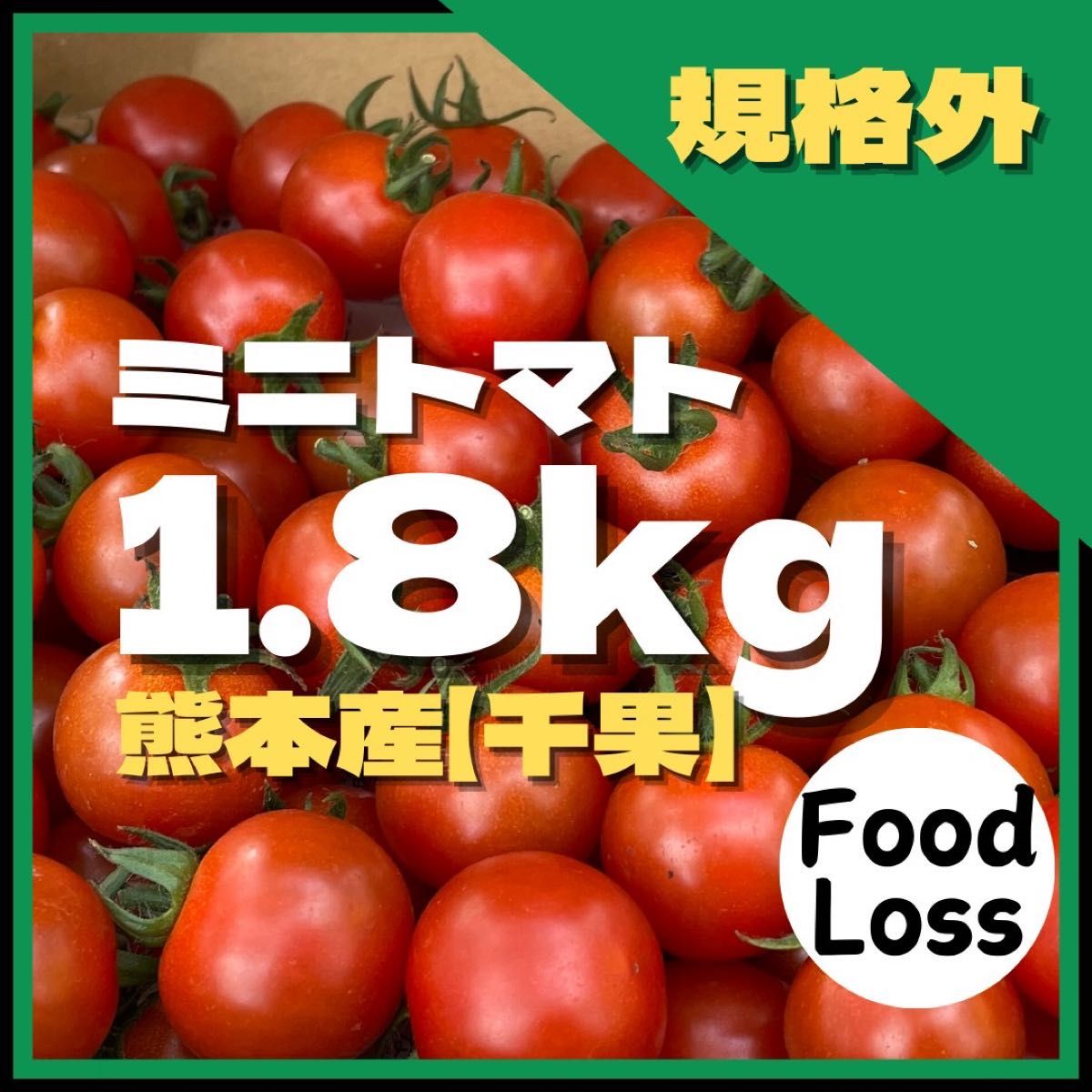 ミニトマト　野菜　熊本産　規格外　訳あり　安い　ミネラル　にがり