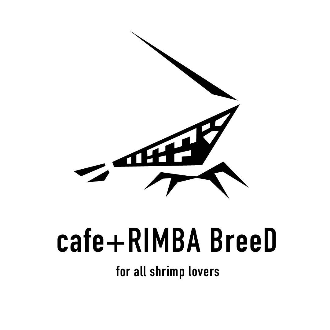 【cafe +RIMBA BreeD】S1 YouTubeアップ記念！！ SAMURAI BLUE 若個体1匹 ※同梱可の画像5