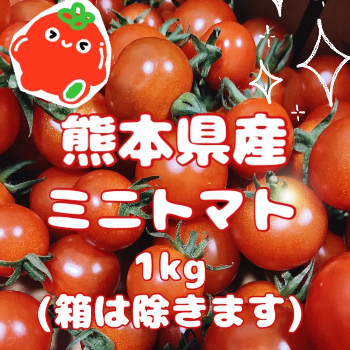 【 感謝SALE！完熟新鮮！ 】 熊本県産 ミニトマト1kg