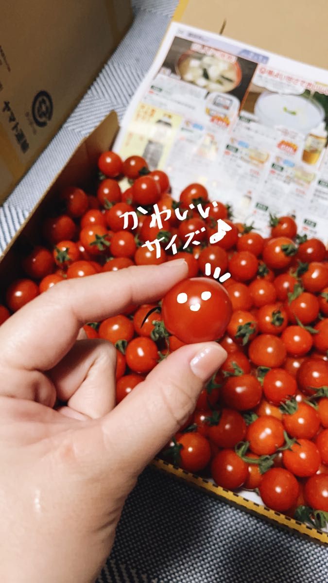 【 お買い得！完熟新鮮！ 】 熊本県産 完熟ミニトマト2kg