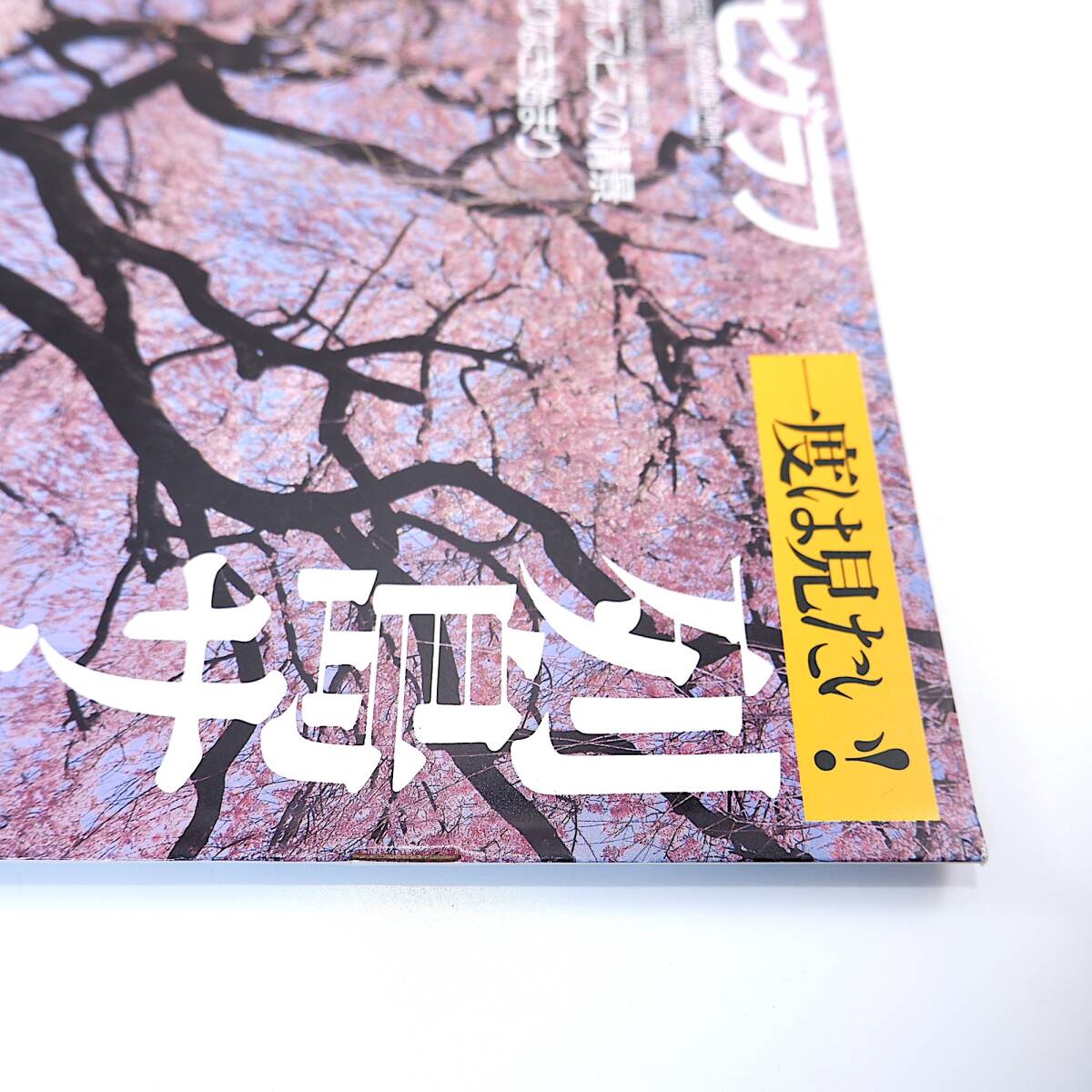 アサヒグラフ 1999年3月26日号／列島サクラ繚乱 米国在宅ホスピスの情景 マコ・イワマツ 伊藤左千夫 前田金彌 福井ミカ 永田町_画像4