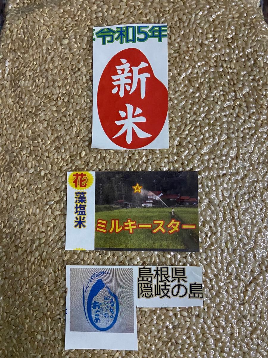 ☆令和５年ミルキークイーンの改良新品種☆ミルキースター  花藻塩米　玄米5キロ