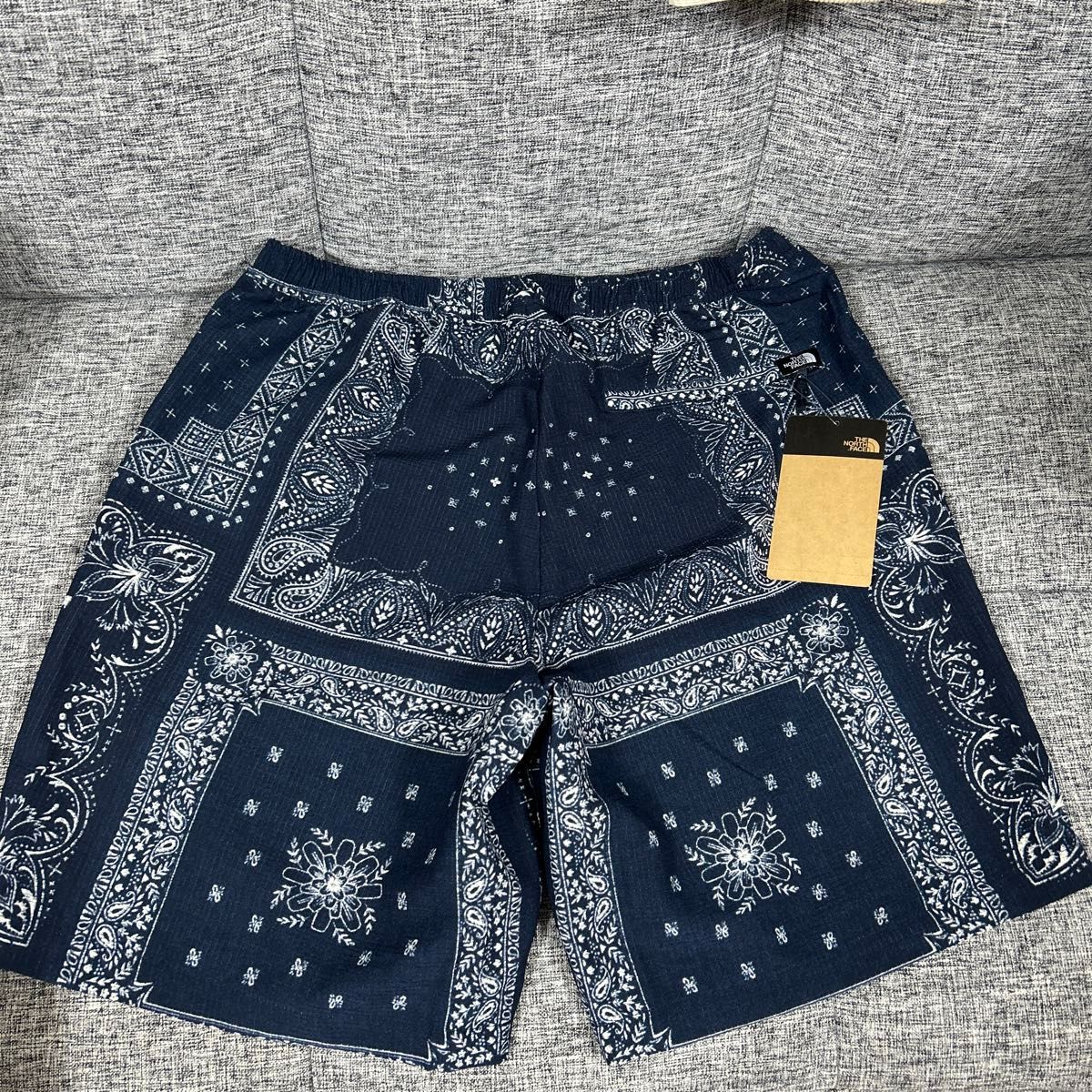 THE NORTH FACE ノースフェイス　Aioha Vant short  ショートパンツ