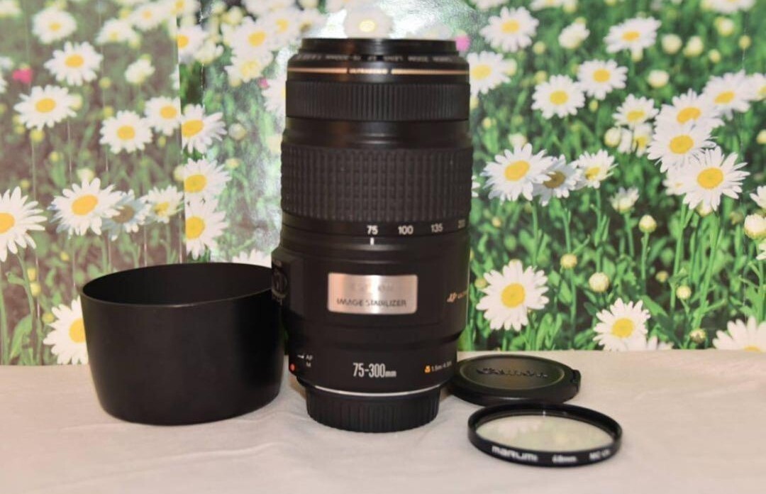 美品☆Canon EF 75-300mm IS USM☆超望遠☆人気望遠☆_画像4