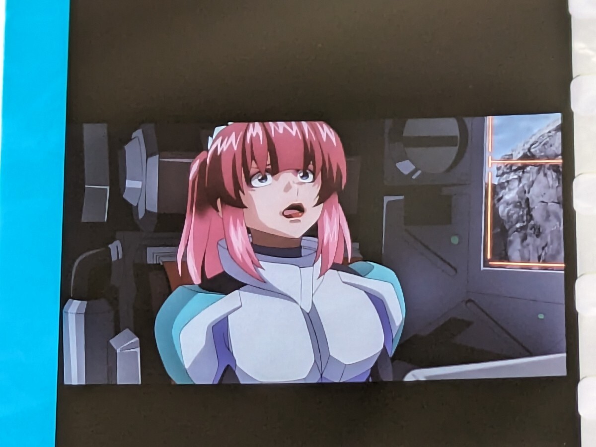 Yahoo!オークション - 機動戦士ガンダムSEED FREEDOM 13週目 Yahoo!オークション - 機動戦士ガンダムSEED FREEDOM 13週目