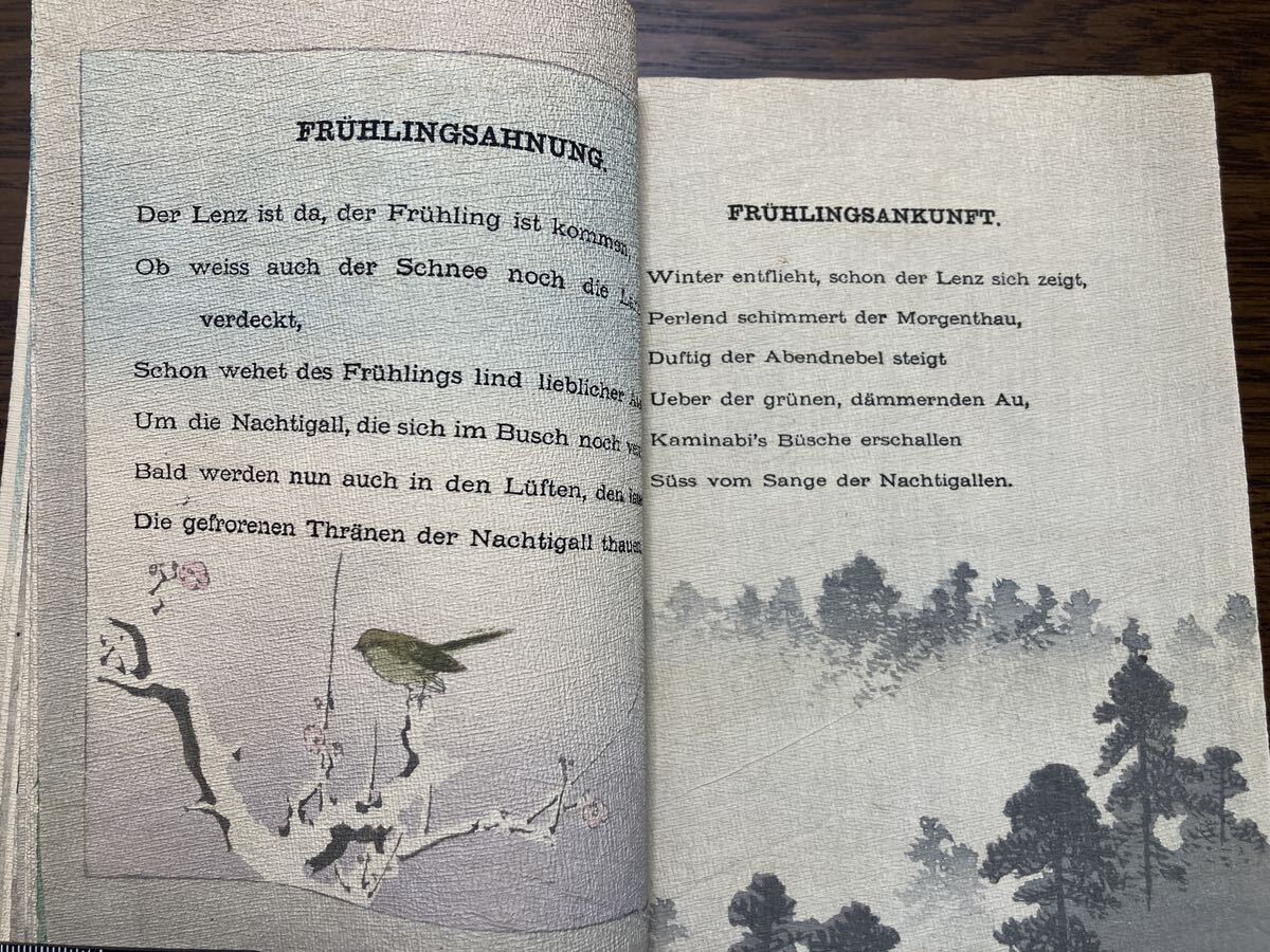 ★滅多に出ない ちりめん本 美品!!★明治27年 1894年 ドイツ語訳「東の国からの詩の挨拶」帙付き フローレンツ 長谷川武次郎 大判の画像9