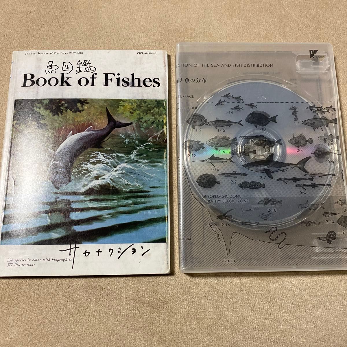 サカナクション　魚図鑑　2CDセット