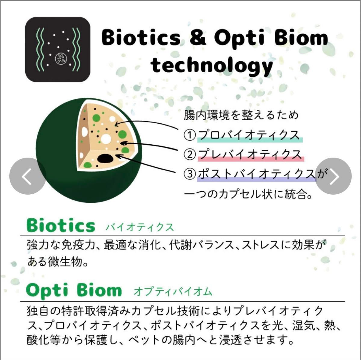 ヴィーガン キャットフード(ドライ) ネイチャーズハグ 1.81kg