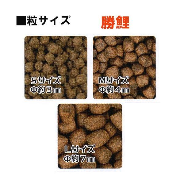 ▽新処方 日本動物薬品 勝鯉 M 浮上 5kg 1袋 2点目より500円引_画像2