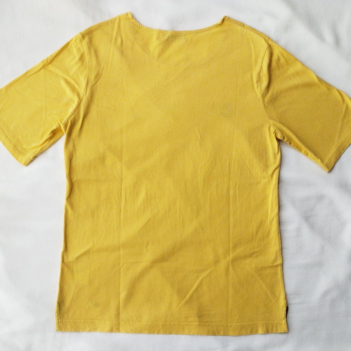 クロコダイル 半袖Tシャツ　レディースMサイズ