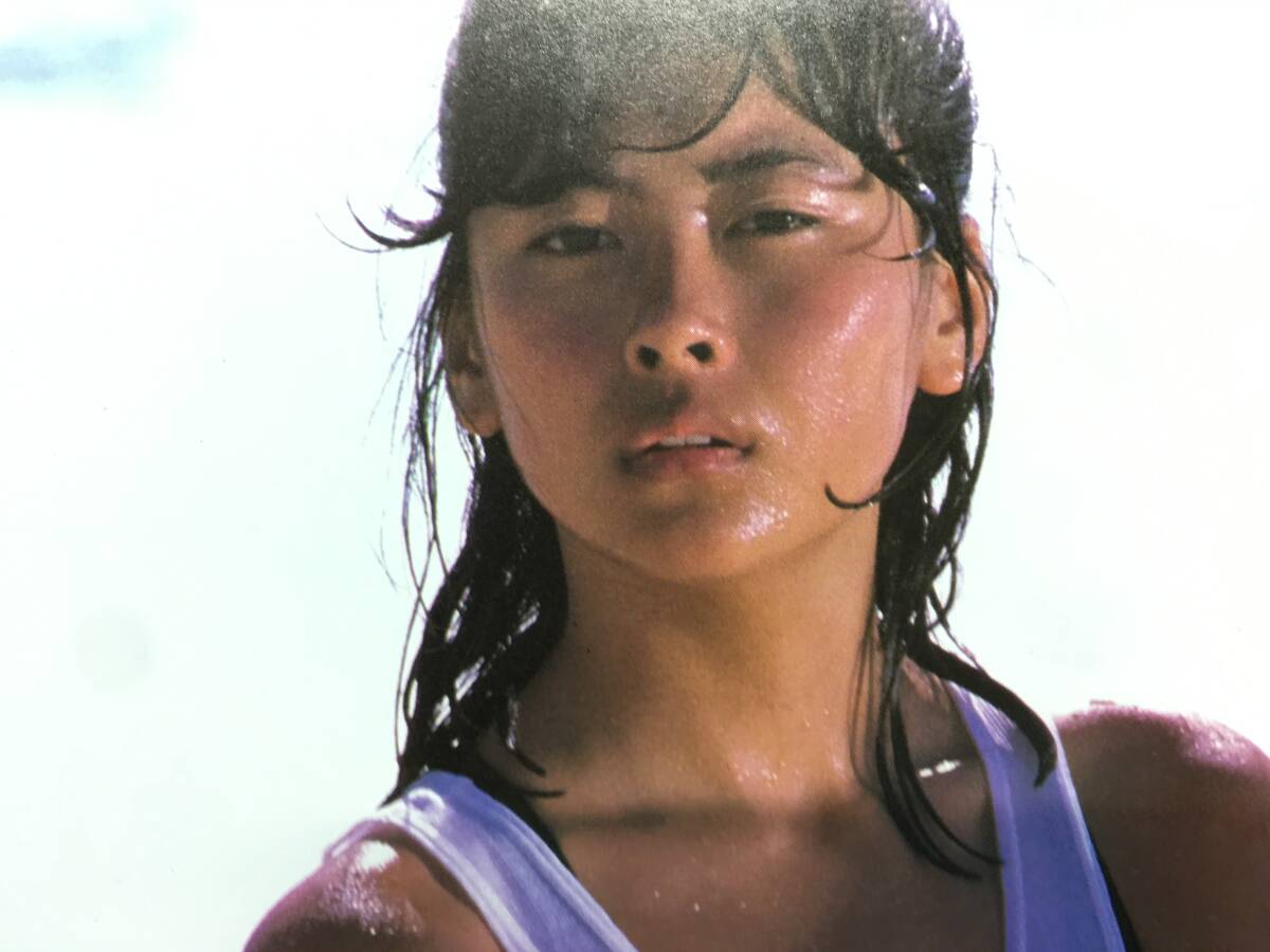 中山美穂 さん 写真集 一生懸命 もう一度お騒がせ 撮影 渡辺達生 1987年 昭和アイドル 古本 中古本 古書 美品 珍品 表紙有り ぴぽりん ワニ_画像10