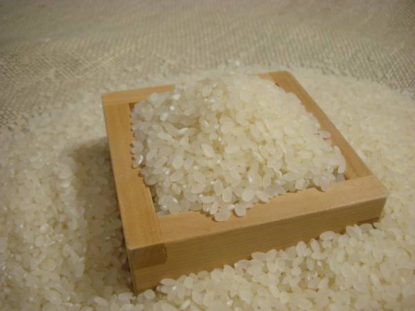 [..]. peace 5 year . pesticide cultivation * Niigata Koshihikari white rice 10kg(5.2 sack )