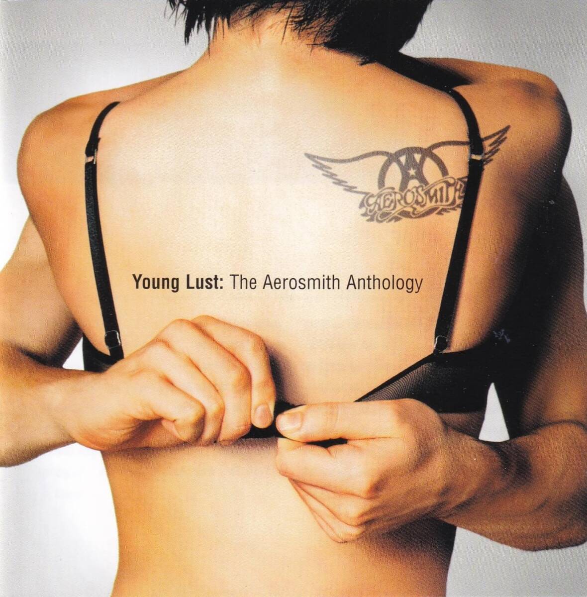 Young Lust The Aerosmi エアロスミス　輸入盤CD_画像1
