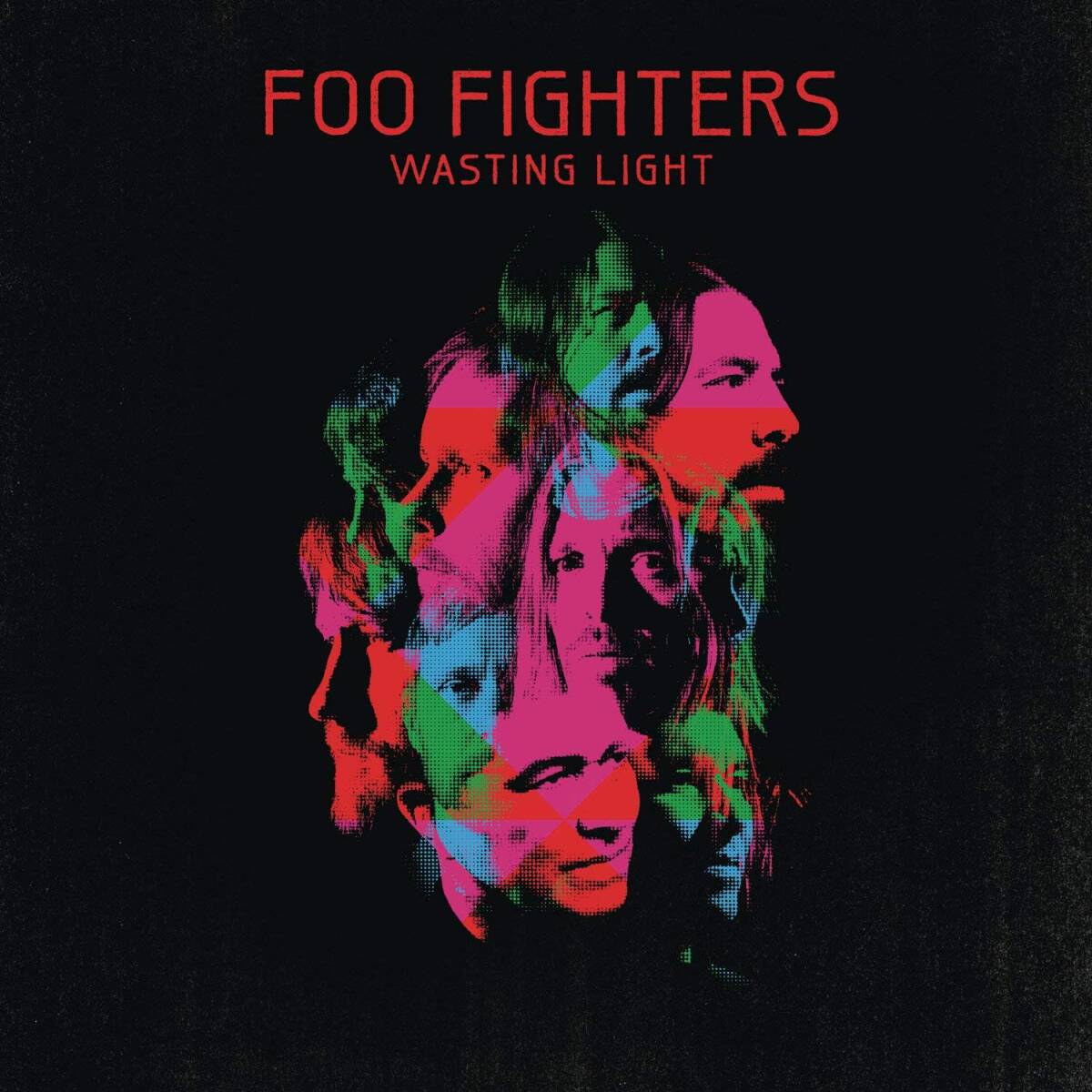 Wasting Light フー・ファイターズ　輸入盤CD_画像1