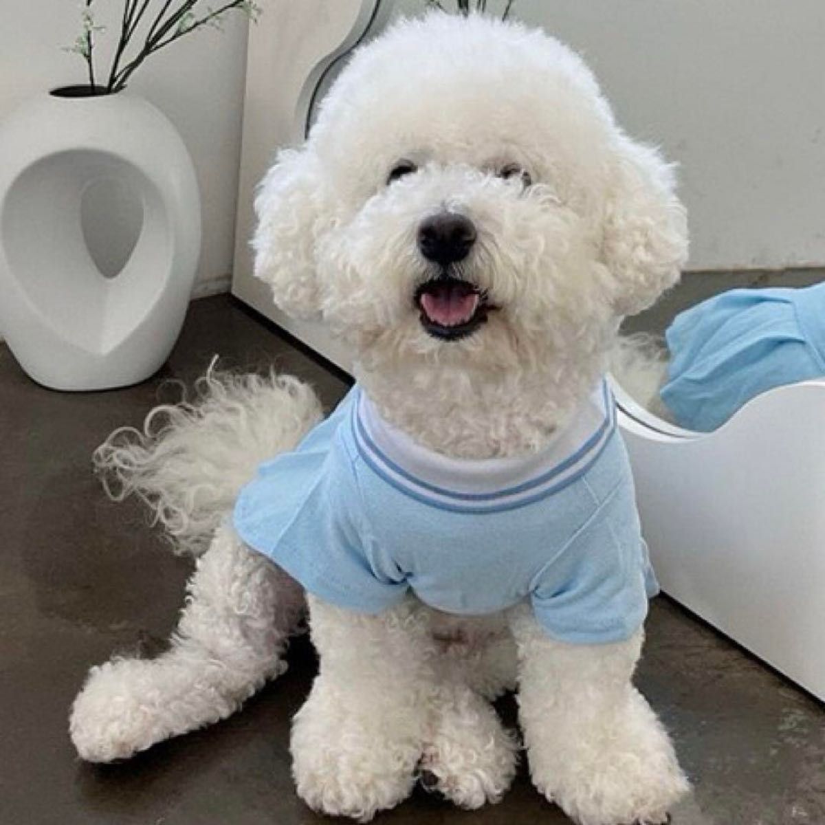 小型犬 犬服 ポロシャツ ワンピース ポロシャツワンピ ブルー 青 水色 Mサイズ  犬服 部屋着