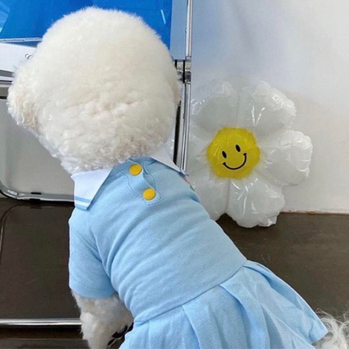 小型犬 犬服 ポロシャツ ワンピース ポロシャツワンピ ブルー 青 水色 Mサイズ  犬服 部屋着