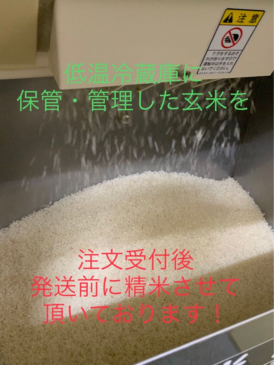 【農家直送新米！】精米済み 10キロ 新潟県産こしいぶき 特別栽培米 5年産 低温冷蔵