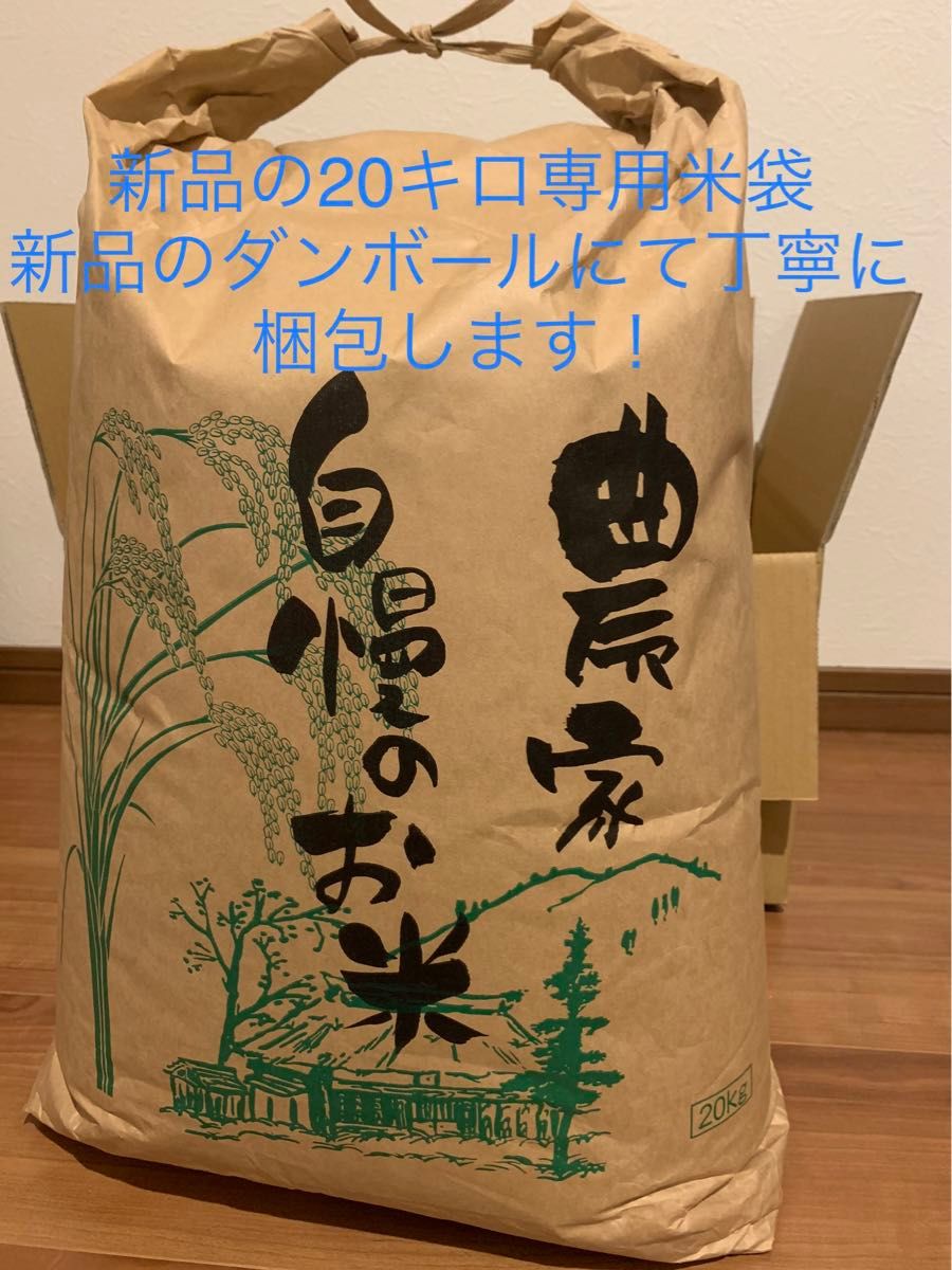 【農家直送新米！】精米済み 20キロ 新潟県産こしいぶき 特別栽培米 5年産 低温冷蔵