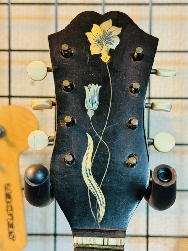  Italy G.PUGLISI REALE&FIGLI CATANIA White Butterfly . equipment ornament flower butterfly .kata-nia Vintage mandolin stringed instruments USED. 