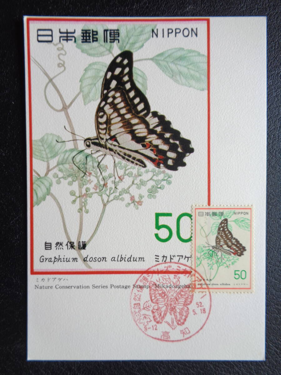  Maximum card 1977 year [ nature protection series ]mika door ge is Kochi Showa era 52.5.18 MC card 