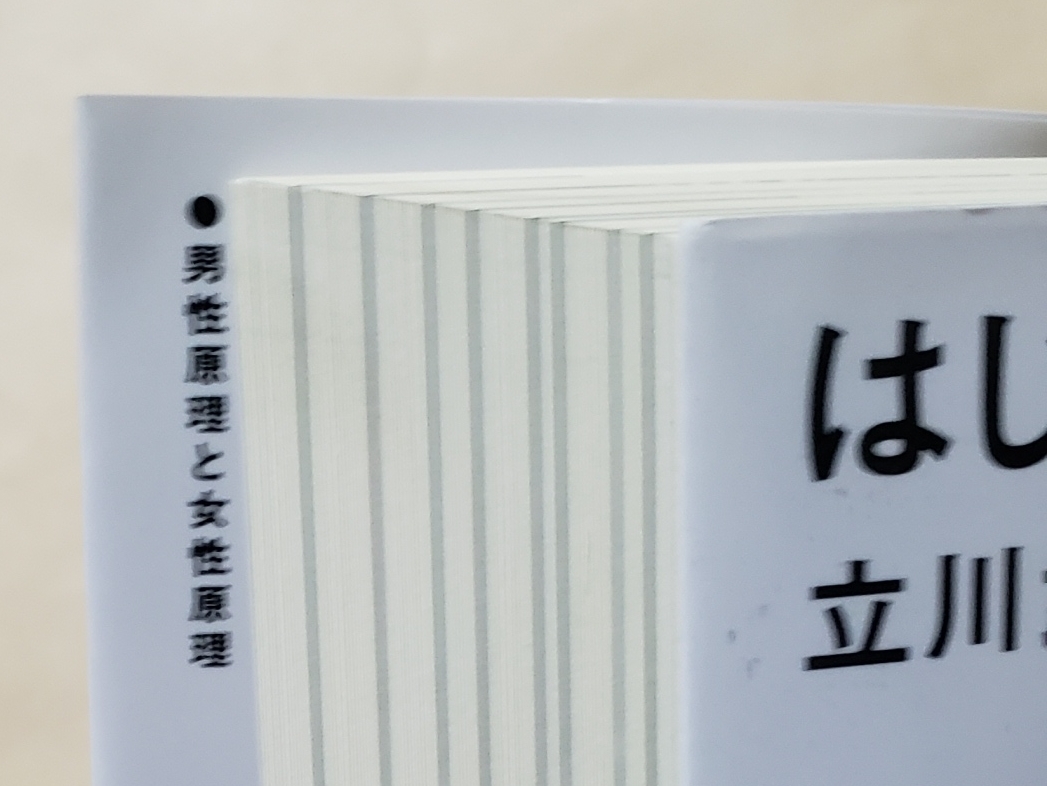 【即決・送料込】はじめてのインド哲学　講談社現代新書　立川武蔵_画像7