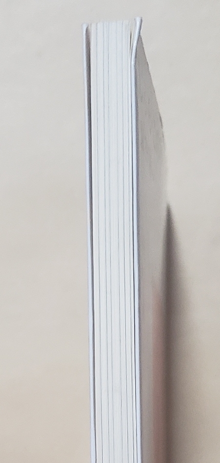 【即決・送料込】じぶん・この不思議な存在　講談社現代新書　鷲田清一_画像4