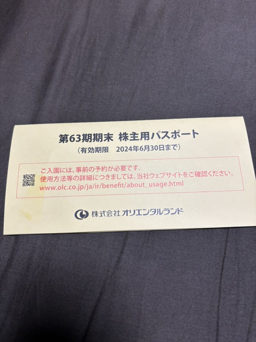 送料込み　東京ディズニーリゾート　株主優待　パスポート　チケット 1枚 東京ディズニーランド　ディズニーシー_画像2