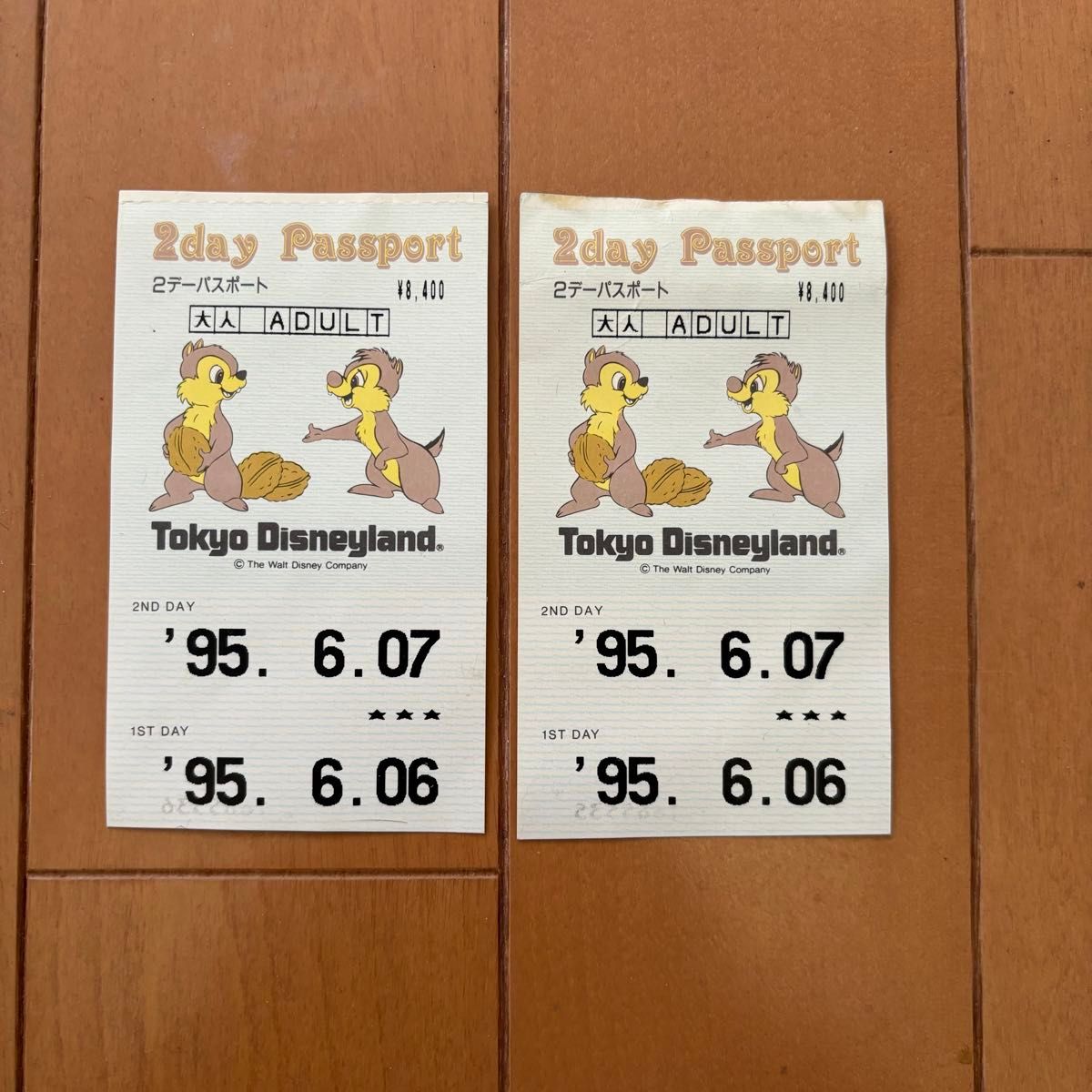 東京ディズニーランド 使用済 チケット 2枚 1995年 2デーパスポート
