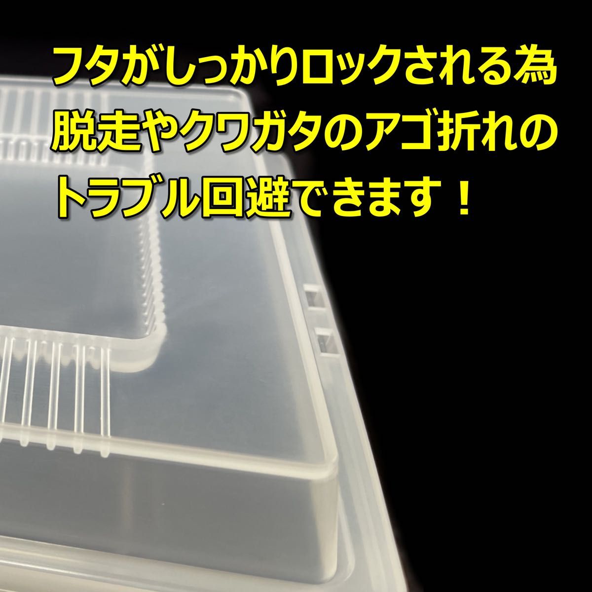 飼育ケース　セパレートケース　小　3.5L　新品　24個　カブトムシ・クワガタ 成虫飼育に最適　コバエ抑制