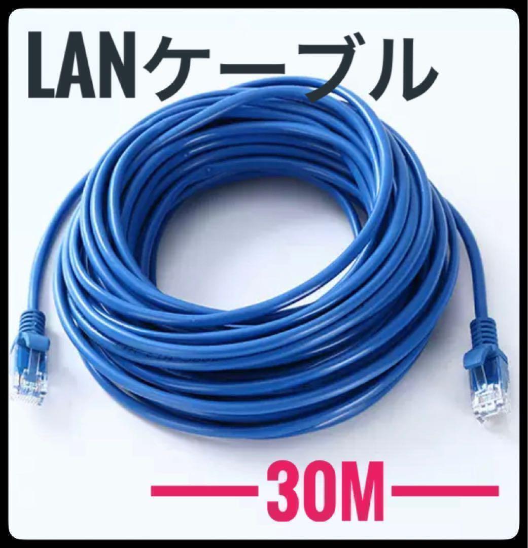 LANケーブル　30m　CAT5e 青　ブルー　事務所　テナント　自宅　オフィス　オンラインゲーム　インターネット　ケーブル　長い_画像1