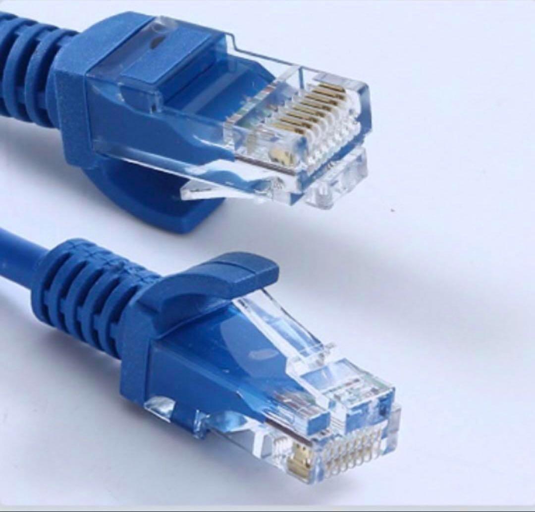 LANケーブル　30m　CAT5e 青　ブルー　事務所　テナント　自宅　オフィス　オンラインゲーム　インターネット　接続　ケーブル　長い